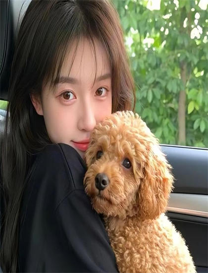 《腹黑少爷小甜妻第3季》观影评价：优缺点全面分析，值得一看吗